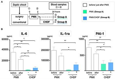 Cytokine modulation in abdominal septic shock via the crucial role of IL-6 signaling in endothelial dysfunction